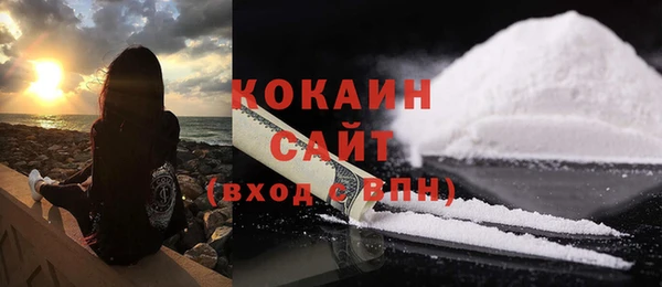 прущие грибы Балабаново