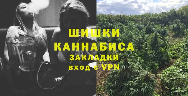 прущие грибы Балабаново