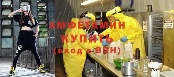 прущие грибы Балабаново