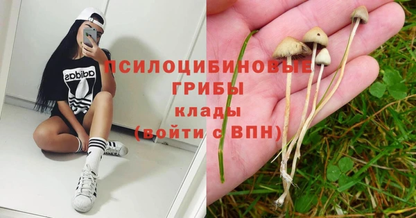не бодяженный Армянск