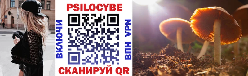 Галлюциногенные грибы GOLDEN TEACHER  хочу наркоту  Оханск 